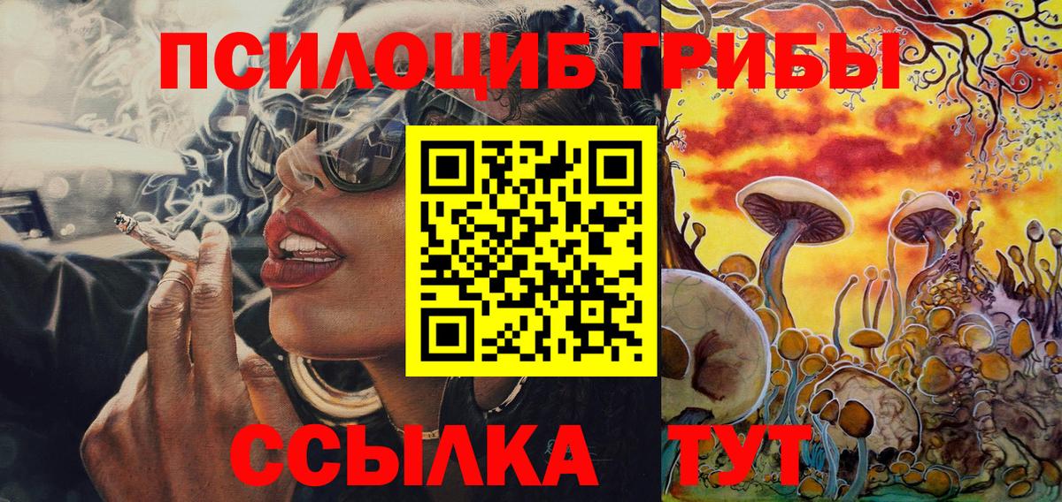 Псилоцибиновые грибы Psilocybine cubensis Дюртюли