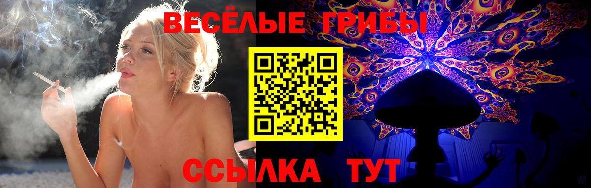 Псилоцибиновые грибы Psilocybine cubensis  Вход с VPN  Дюртюли 
